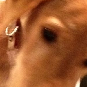 Meet your Posher, Jolene